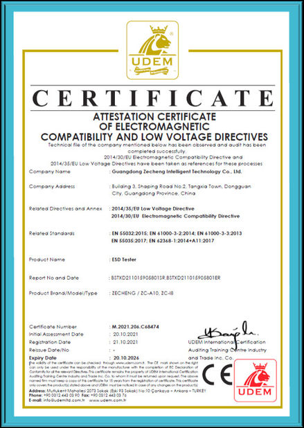 China Guangdong Zecheng Intelligent Technology Co., Ltd. certificaciones